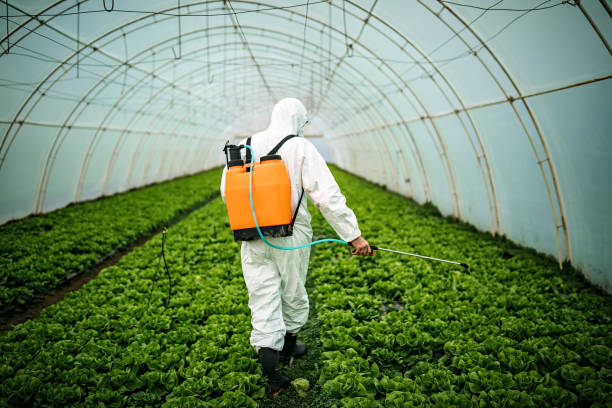 Best Pest Inspection Near Me  in Newark, IL