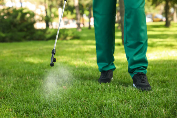 Best Ant Control Services  in Newark, IL