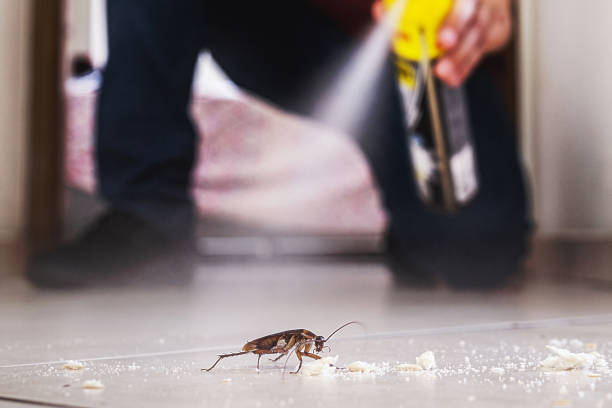 Best Rat Extermination Near Me  in Newark, IL