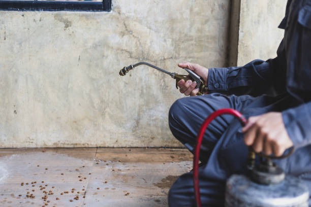 Best Commercial Pest Control Services  in Newark, IL