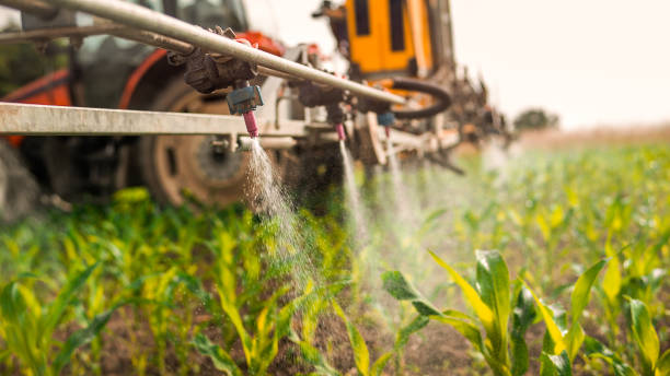 Best Best Pest Control Companies  in Newark, IL