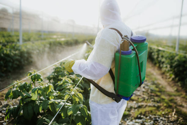 Best Best Pest Control Companies  in Newark, IL